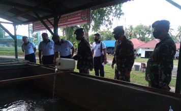 Dukung Ketahanan Pangan, Danlantamal IV Sebar 1.500 Ekor Benih Ikan Lele