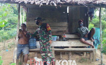 Babinsa Sertu Maralaut Hasibuan Jalin Komsos Dengan Warga Binaan Petani Cabe