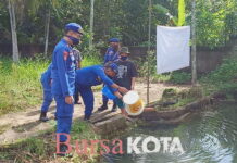 Budidaya Lele Sat Polairud Polres Tanjungpinang Kuatkan Ketahanan Pangan