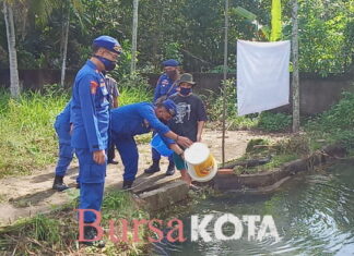 Budidaya Lele Sat Polairud Polres Tanjungpinang Kuatkan Ketahanan Pangan