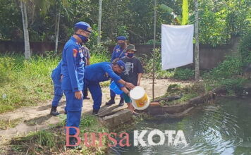 Budidaya Lele Sat Polairud Polres Tanjungpinang Kuatkan Ketahanan Pangan