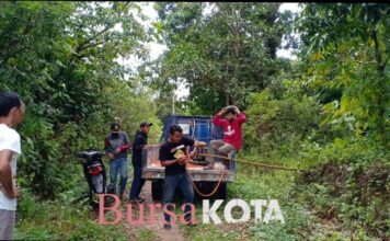 Basmi Hama Ulat, Kades Batu Gajah dan Dinas Pertanian Lakukan Penyemprotan Insektisida