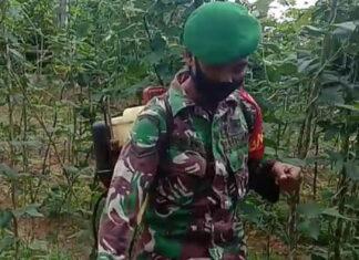Serda Agung Dampingi Petani Sayuran Jaga Ketahanan Pangan Masa Pandemi Covid – 19