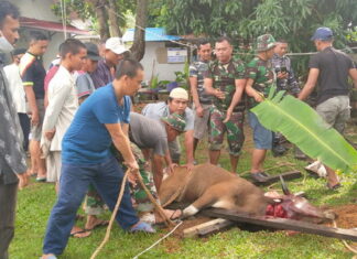 Rayakan Idul Adha, Lanal Ranai Potong Hewan Kurban