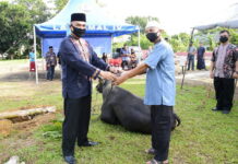 Lantamal IV Tanjungpinang Sembelih 21 Ekor Hewan Qurban