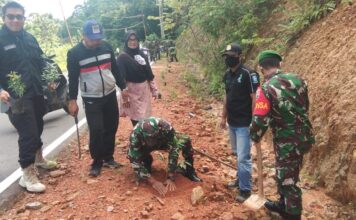 Giat Penghijauan, Koramil 02/Tarempa Bersama Pemdes Tarempa Selatan Tanam Pohon Merah
