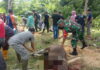 Babinsa Tarempa Selatan Dampingi Penyembelihan Hewan Qurban