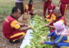 Dukung Ketahanan Pangan, Polres Lingga Lakukan Panen Jagung