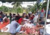 Jumlah Hewan Qurban Meningkat, HKS Ranai Bagikan 250 Paket Qurban