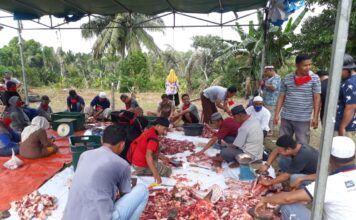 Jumlah Hewan Qurban Meningkat, HKS Ranai Bagikan 250 Paket Qurban