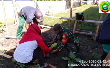 Dukung Ketahanan Pangan, Babinsa Koramil 06/Senayang Goro Bersama TP PKK