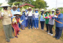 Lantamal IV Gelar Panen Raya Jagung Program Ketahanan Pangan