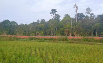 Mardian : Tak Elok Kalau Membuat Isu yang Tidak Jelas Sumbernya, Kasian Masyarakat dan Petani