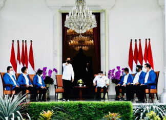 Presiden Jokowi Perkenalkan Enam Figur Baru di Kabinet Indonesia Maju