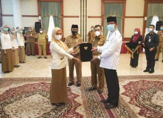 Gubernur Kepri Isdianto Serahkan SK Kepada 1.205 Orang THL Menjadi PTT