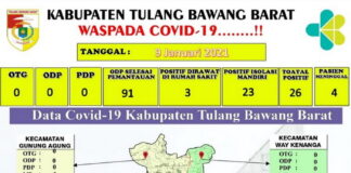 Pemkab Tubaba Melalui Dinas Kesehatan Data Masyarkat Terkait Covid-19