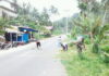 Babinsa Koramail 04/Letung Goro Bersama Warga Binaan Bersih Jalan Menuju Kantor Desa