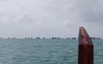 Kapal Luar Masuk Lingga, KNPI Lingga Minta DKP Provinsi Tidak Tutup Mata