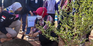 Peringati HPN, Walikota Tanjungpinang Tanam Pohon Pemersatu Insan Pers