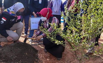 Peringati HPN, Walikota Tanjungpinang Tanam Pohon Pemersatu Insan Pers