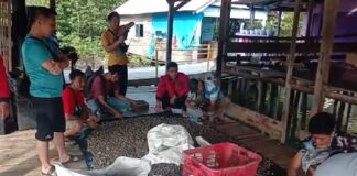 Kampung Sungai Burung Salah Satu Penghasil Kerang Darah Terbesar di Lampung