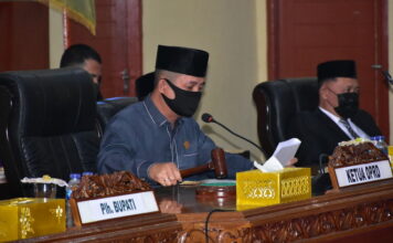 Nizar-Neko Sah Sebagai Bupati dan Wakil Bupati Terpilih Pada Rapat Paripurna DPRD Lingga