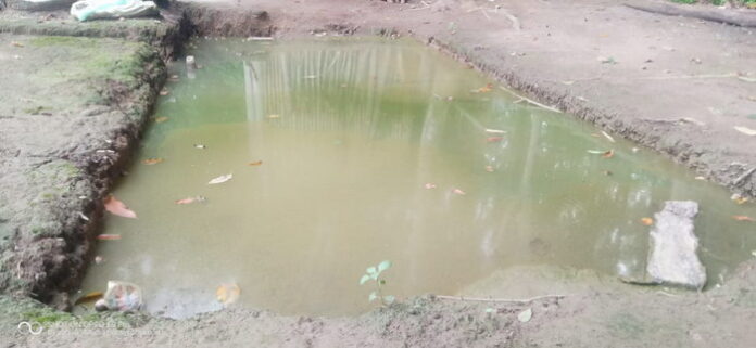 1614169136-picsay