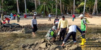Koramil 05/Midai Goro Tanam Mangrove Pemberian Dandim