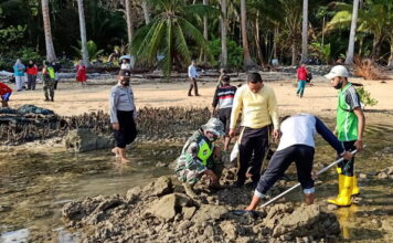 Koramil 05/Midai Goro Tanam Mangrove Pemberian Dandim