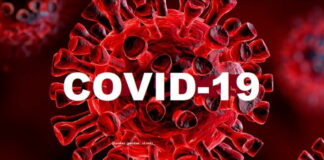 DLH Tuba Berduka, Seorang Kabid Meninggal Dunia Terpapar Covid -19