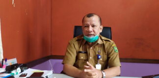 DLH Himbau Masyarakat Jaga Kelestarian Mangrove