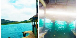 Dua Dermaga Desa Tanjung Lipat Ambruk Butuh Perhatian Pemerintah Daerah