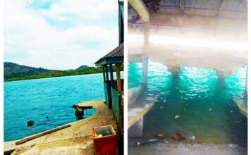 Dua Dermaga Desa Tanjung Lipat Ambruk Butuh Perhatian Pemerintah Daerah
