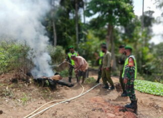 Cegah Karhutla, Koramil 02/Tarempa Patroli Bersama Polhut Anambas