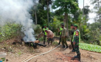 Cegah Karhutla, Koramil 02/Tarempa Patroli Bersama Polhut Anambas