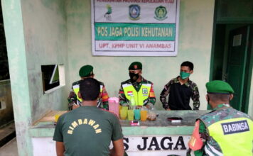 Koramil 02/Tarempa dan Polhut KKA Lakukan Kordinasi Perketat Pengawasan Karhutla