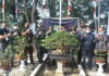 Bonsai Community Kota Sabang Warnai Donor Darah, Sambut HUT Ke-75 TNI AU