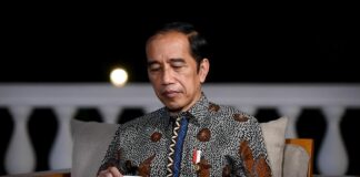 Presiden Jokowi Tegaskan Tak Ada Impor Beras Selama Beberapa Bulan Mendatang