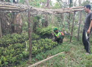 Babinsa Serda Suwandi Jalin Komsos dengan Warga Binaan