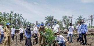 Bupati dan Wakil Bupati Asahan Tanam Perdana Bibit Sawit