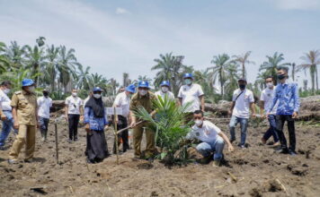Bupati dan Wakil Bupati Asahan Tanam Perdana Bibit Sawit