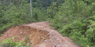 Status Jalan Milik Provinsi Disimpang Resun Ke Rantau Panjang, Sampai Saat Ini Belum Tersentuh