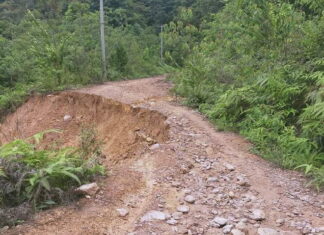 Status Jalan Milik Provinsi Disimpang Resun Ke Rantau Panjang, Sampai Saat Ini Belum Tersentuh