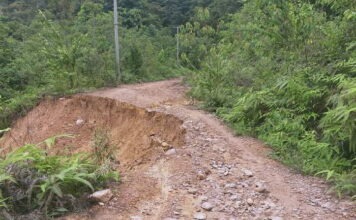 Status Jalan Milik Provinsi Disimpang Resun Ke Rantau Panjang, Sampai Saat Ini Belum Tersentuh