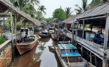 Nelayan Sungai Pinang Kecewa.Pengusaha Prikanan Enggan Beli Hasil Laut, Dengan Alasan Kapal Tak Jalan