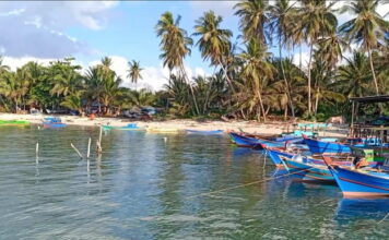 Pemprov Kepri Alokasi Dana Rp2,5 Miliar Untuk Persiapan Pelabuhan Samudera di Natuna