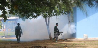 Cegah DBD, Lanud Raden Sadjad Laksanakan Fogging