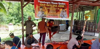 Polres Natuna Qurban 5 Ekor Sapi