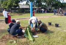 Lantamal IV Sembelih 14 Ekor Hewan Qurban