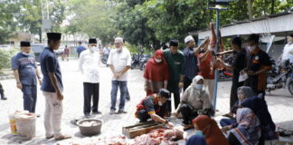 Bupati dan Wakil Bupati Asahan Tinjau Pelaksanaan Penyembelihan Hewan Qurban